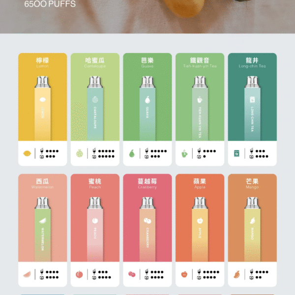 TUTX 6500 口拋棄式電子煙 長續航多口味